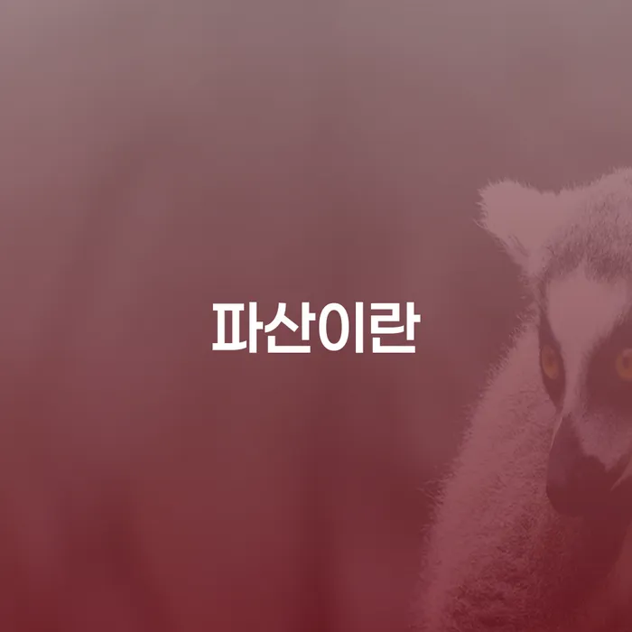개인회생 뜻 채무 효과적인 해결방법 체크해보세요