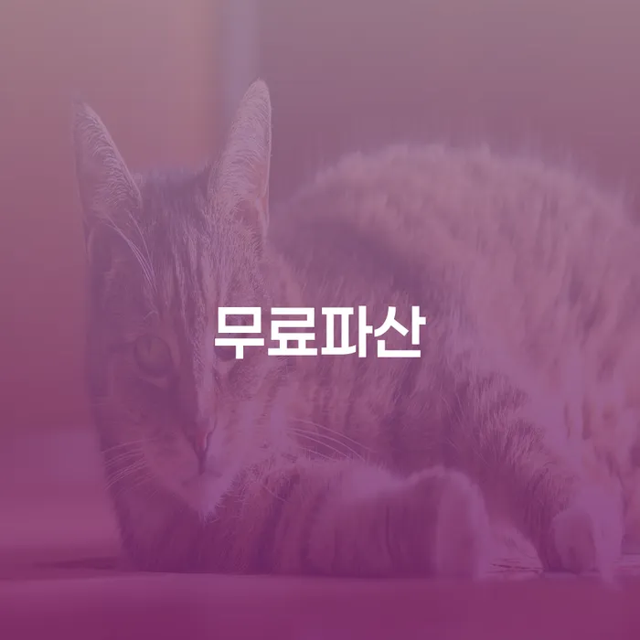 개인회생자동차 채무 효과적인 해결방법 추전하는 사무소