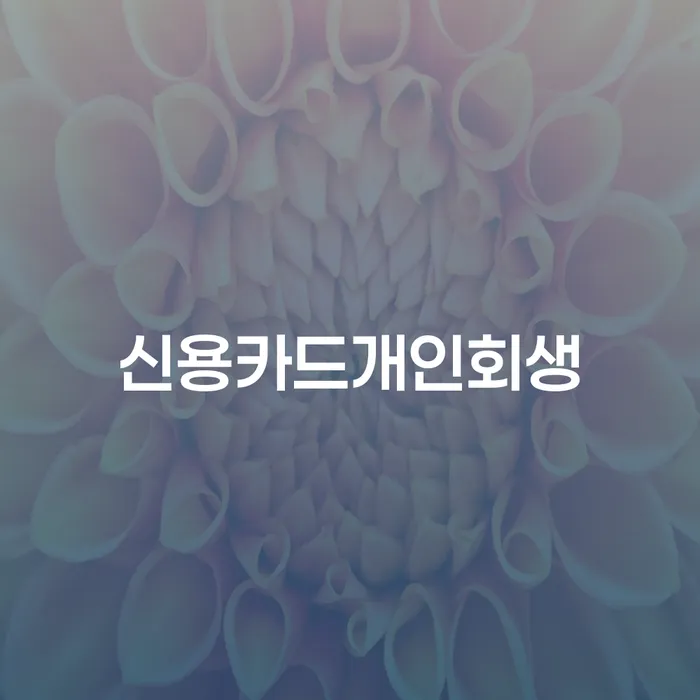 빛청산 빚 합법적인 빠른방법 신청했을 경우