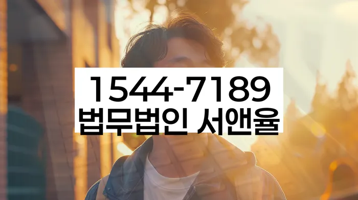 나홀로개인회생