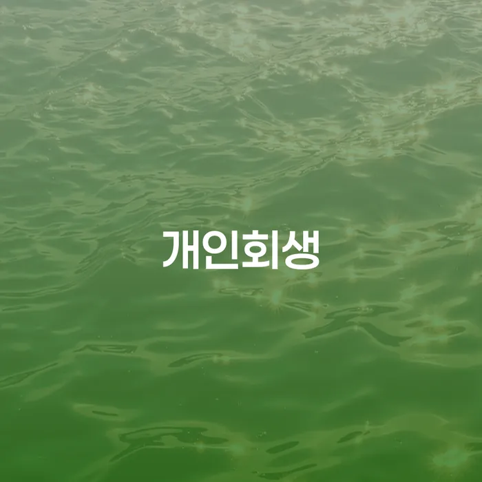 과천시 개인회생과파산차이 채무조정제도을 이용하여 경험 많은 곳에서