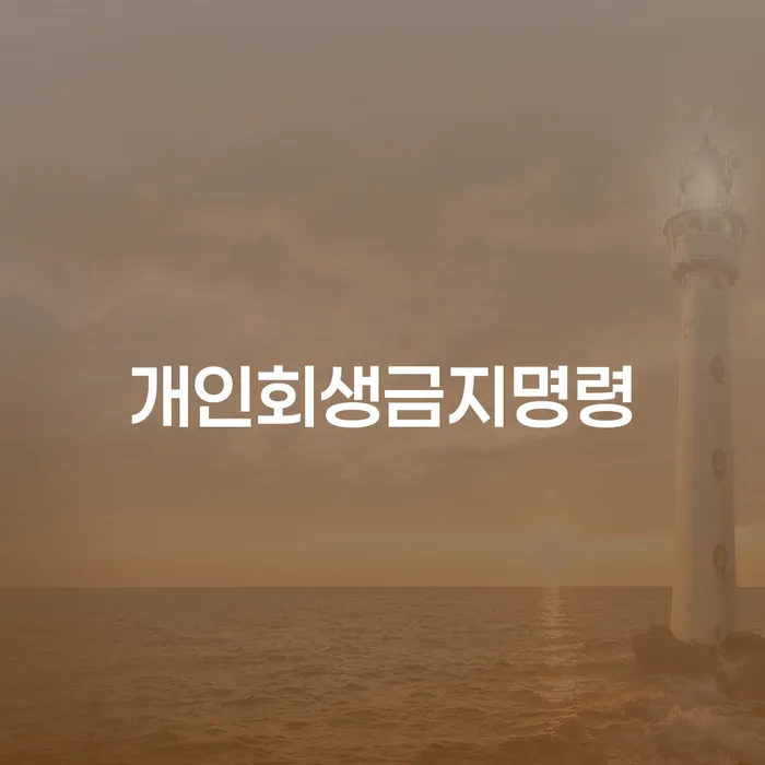 이천시 회생절차 채무 효과적인 해결방법 단점을