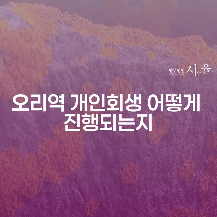 오리역 개인회생 어떻게 진행되는지