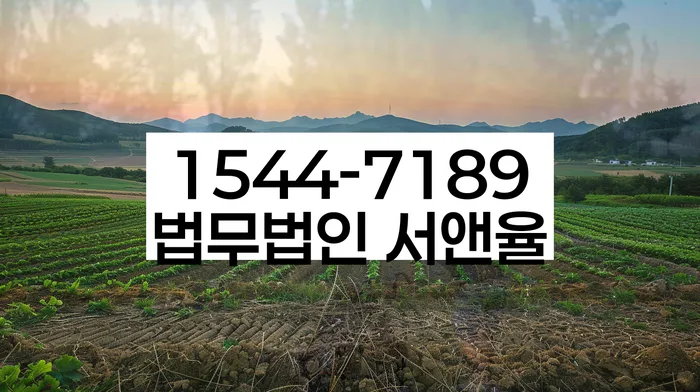 개인회생 신청 결과