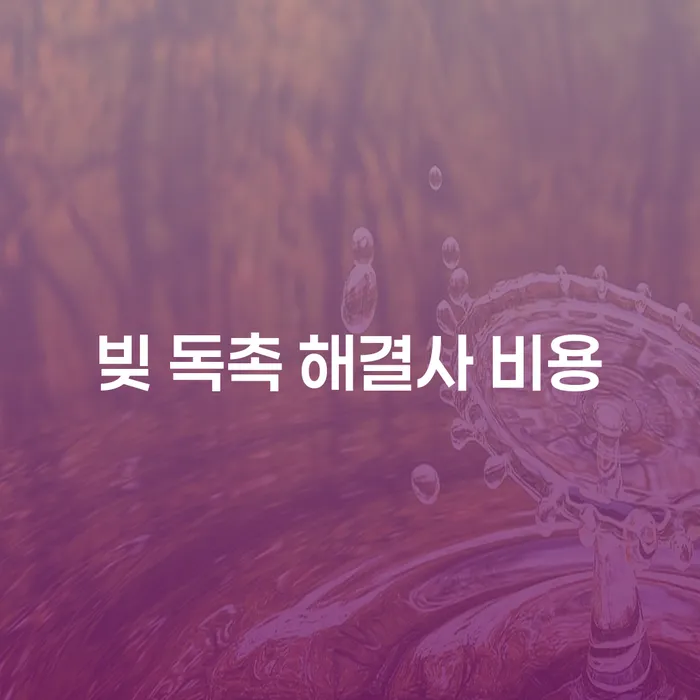 빚 독촉 해결사 비용: 어떻게 해결할 수 있을까요?